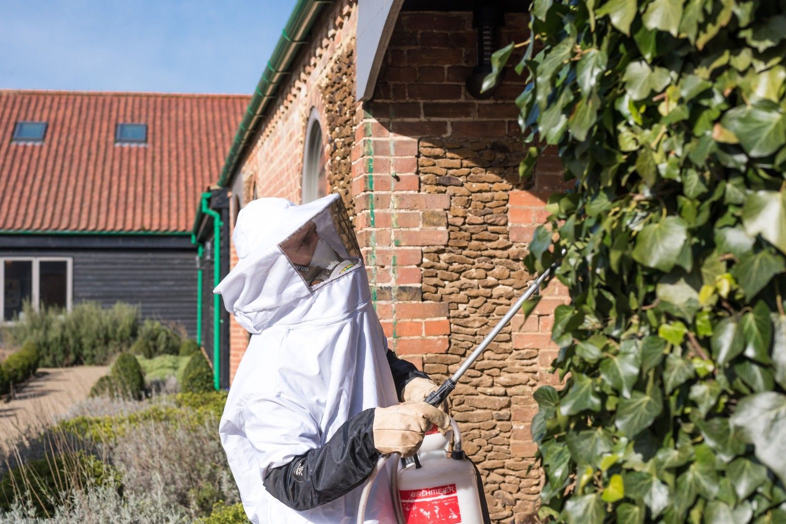 Bee & Wasp Removal