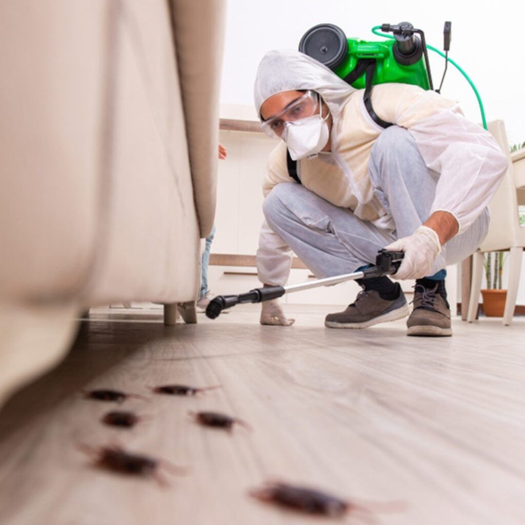 Cockroach Extermination
